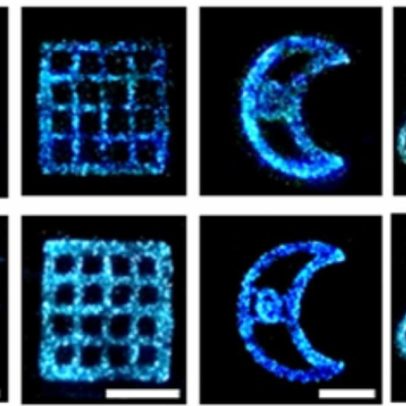 Cientistas criam luz viva sem eletricidade usando algas brilhantes