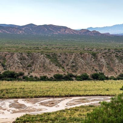 Clima chuvoso na Argentina contribuiu para surto de hantavírus em cruzeiro