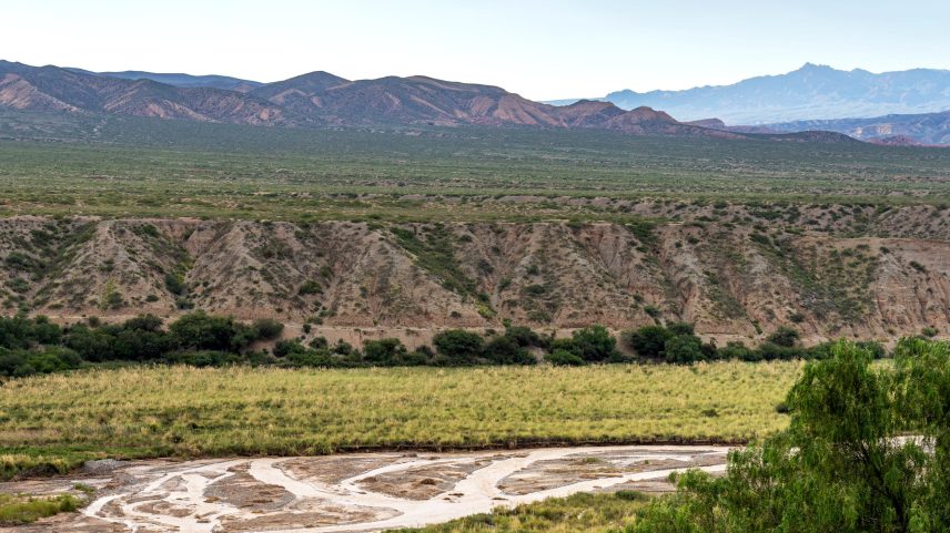 A field of pampas grass across the Rio Calchaqui as seen from Cachi Argentina.