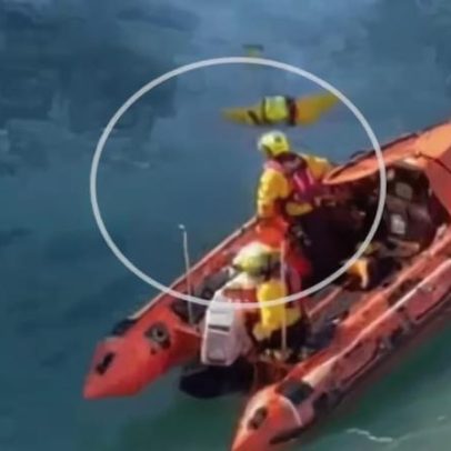Cachorra resgatada com vida após cair de penhasco de 18 metros