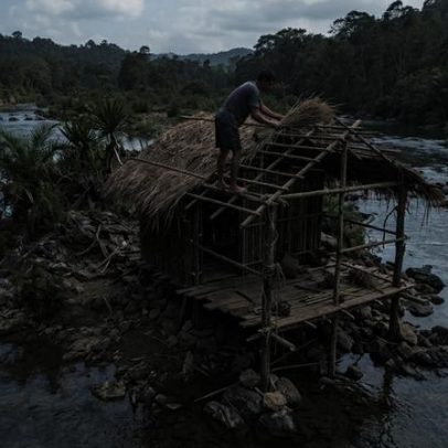 Homem sozinho constrói abrigo na ilha em 60 dias usando bambu