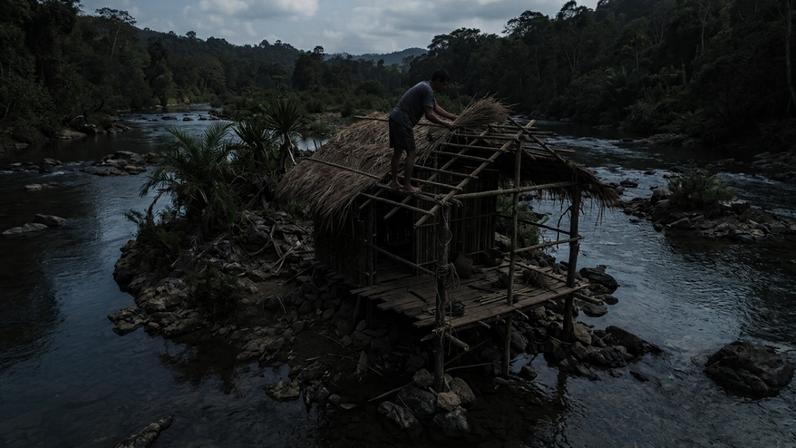 Homem sozinho constrói abrigo na ilha em 60 dias usando bambu