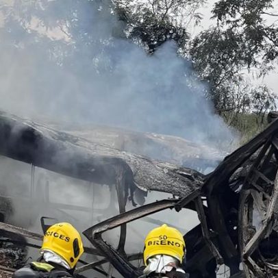 Batida entre ônibus e carreta com incêndio deixa oito mortos na BR-251, MG