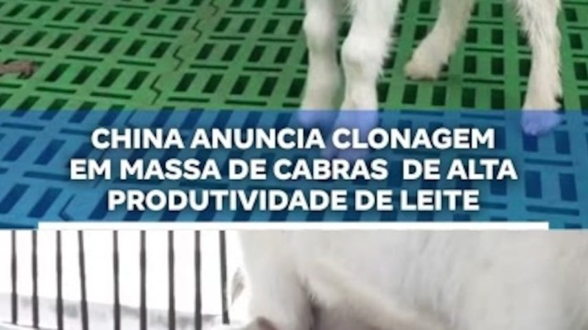 Reprodução canal do Youtube Record News