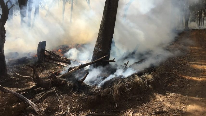 A controlled burn in northeastern Victoria to reduce fuel load before summer fire season. Image courtesy of Michael Reid.