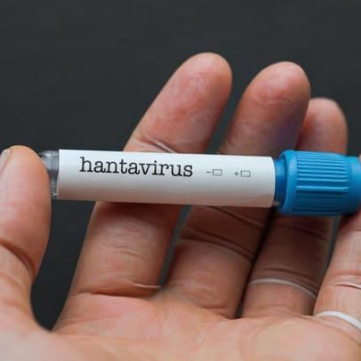 Casos de hantavírus preocupam especialistas após morte confirmada no Sul