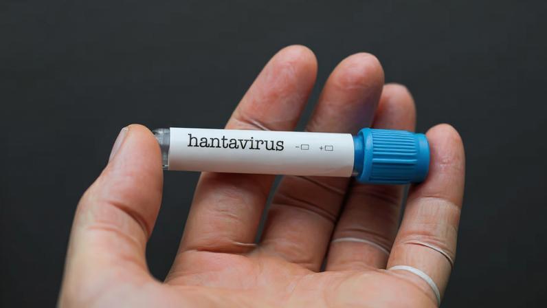 Hantavírus exige atenção em áreas rurais. (Foto: Getty Images via Canva)