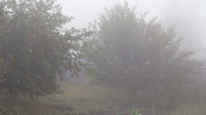 Bactérias vivendo na neblina ajudam a remover toxinas perigosas presentes na atmosfera. (Imagem: Getty Images via Canva)