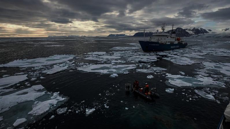 Degelo no Ártico ameaça cadeia alimentar e pode acelerar impactos climáticos globais. (Imagem: Fala Ciência via Gemini)