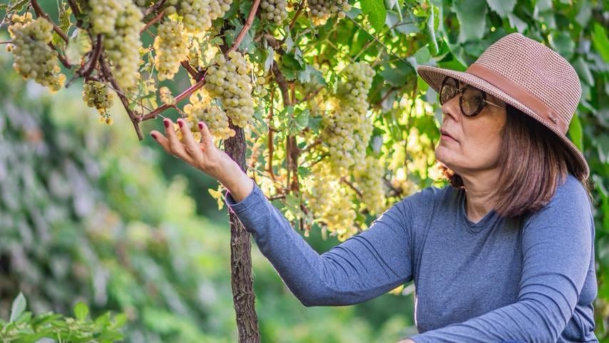 Cristiana Petriz, CEO da vinícola gaúcha La Grande Bellezza