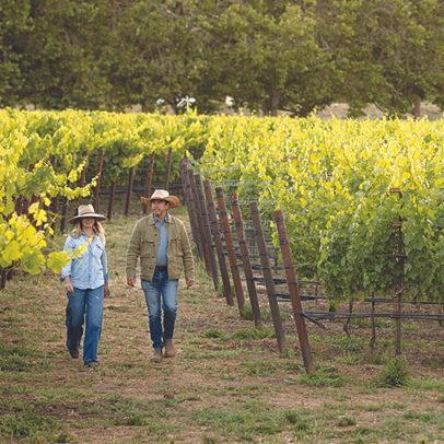 Artesanato, sustentabilidade e agricultura: os verdadeiros luxos de Napa Valley