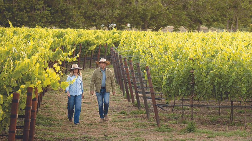 Artesanato, sustentabilidade e agricultura: os verdadeiros luxos de Napa Valley