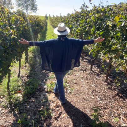 Wine South America reforça protagonismo do Brasil no setor vitivinícola
