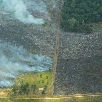 Amazônia sob controle em país marcado pela corrupção