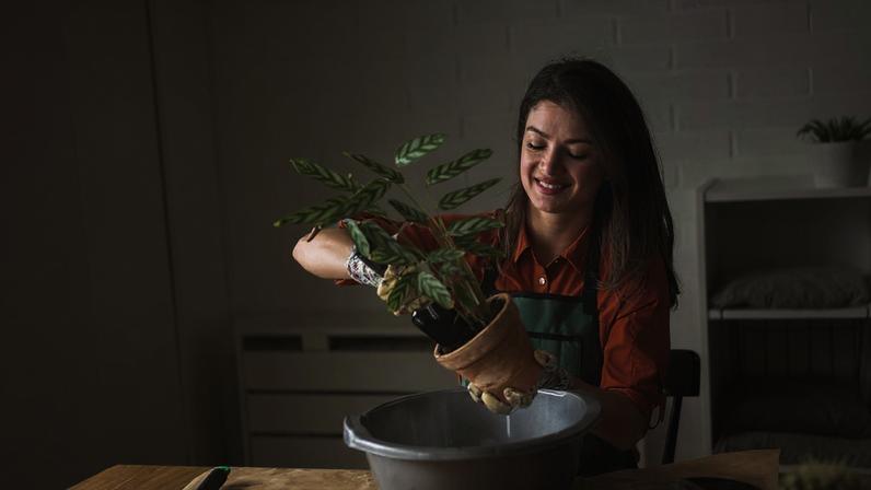 Jardinagem é um hobby que traz benefícios para os pais de plantas