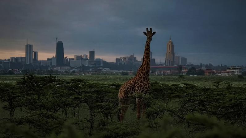 Cenário simboliza o encontro entre natureza e metrópole