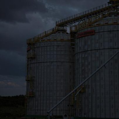 Brasil precisa investir R$ 148 bilhões para zerar déficit de armazenagem