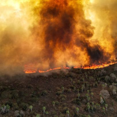 Jovens brasileiros mais preocupados com mudanças climáticas do que a média global