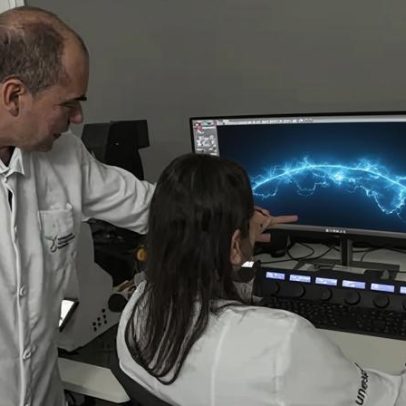 Nanodesign usa própria planta para combater daninhas no campo