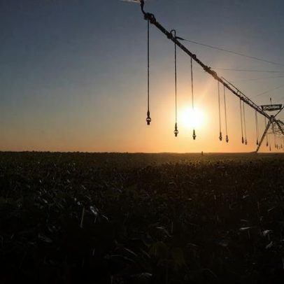 Nova geopolítica agrícola já começou