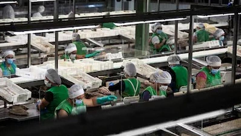 A antiga Pescanova amplia perdas quase nove vezes e segue sem atividade