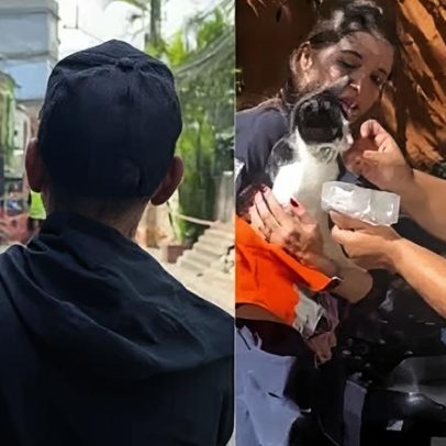 Gata Felícia é resgatada de escombros após explosão em SP
