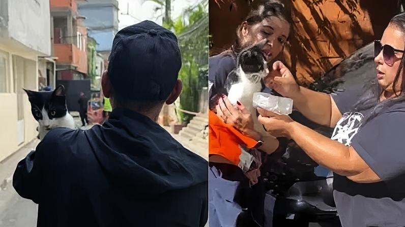 Gata Felícia é resgatada de escombros após explosão em SP