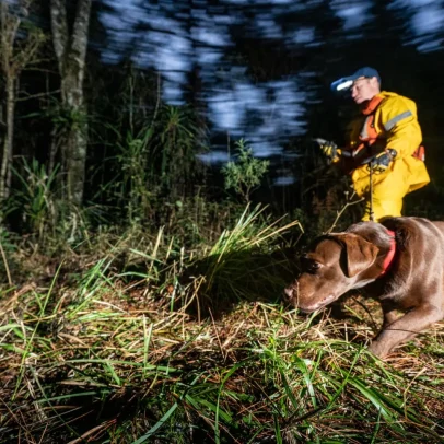 Cães-heróis se aposentam após missões de resgate pelo Brasil