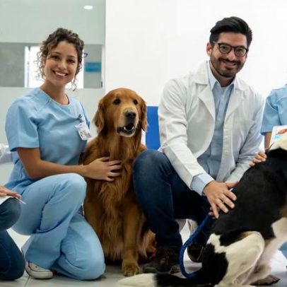 Animais no ambiente de trabalho fortalecem saúde emocional das equipes