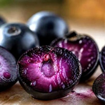 Mirtilos mostram potencial antioxidante e proteção celular, segundo a ciência