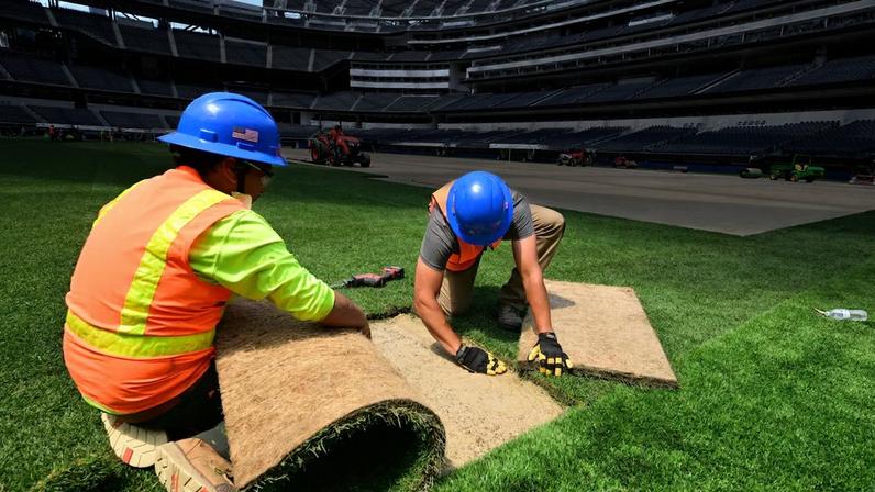 Trabalhadores de Los Angeles efetuam a troca do gramado no estádio de Inglewood.