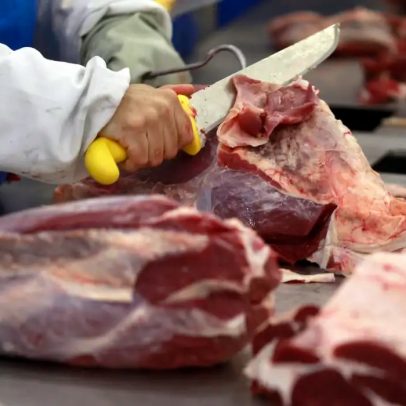 Comércio brasileiro pode sofrer com decisão da UE sobre carnes, dizem analistas