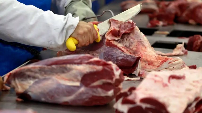 Vizinhos do Brasil, como Argentina, estão autorizados a exportar seus produtos