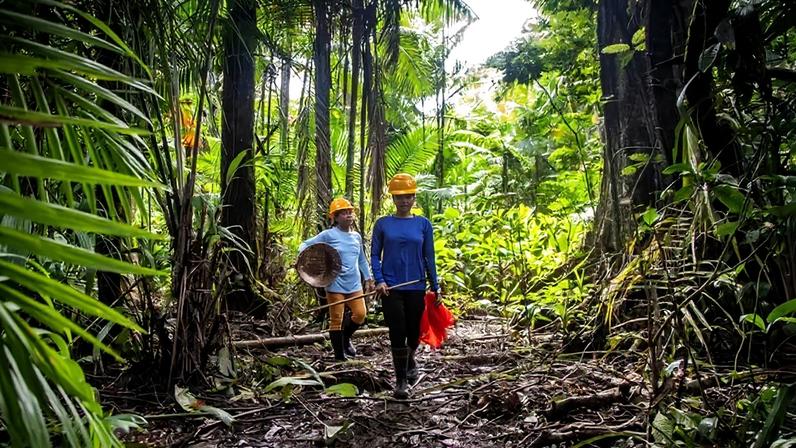 Amazônia concentra parte estratégica da biodiversidade brasileira, hoje no centro das discussões sobre clima, bioeconomia e financiamento verde (Leandro Fonseca /Exame)