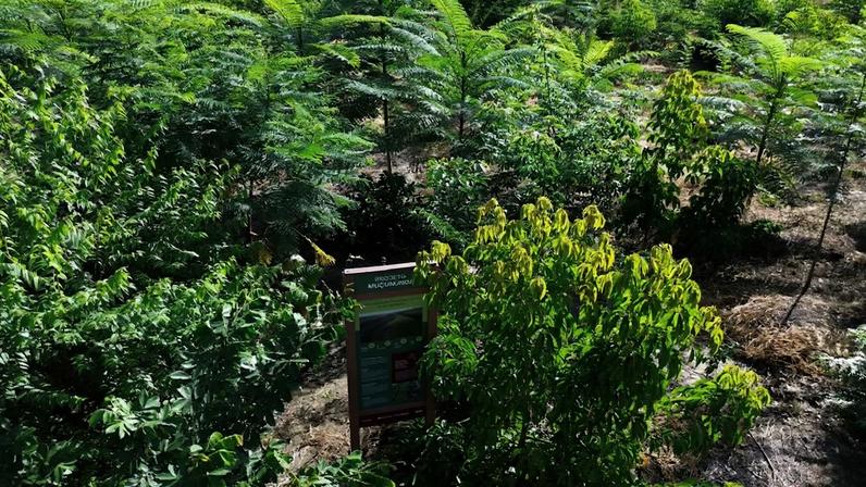 Projeto Muçununga vai beneficiar 14 comunidades locais