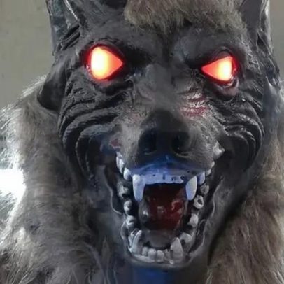 Lobos robôs viram arma contra ataques de ursos no Japão
