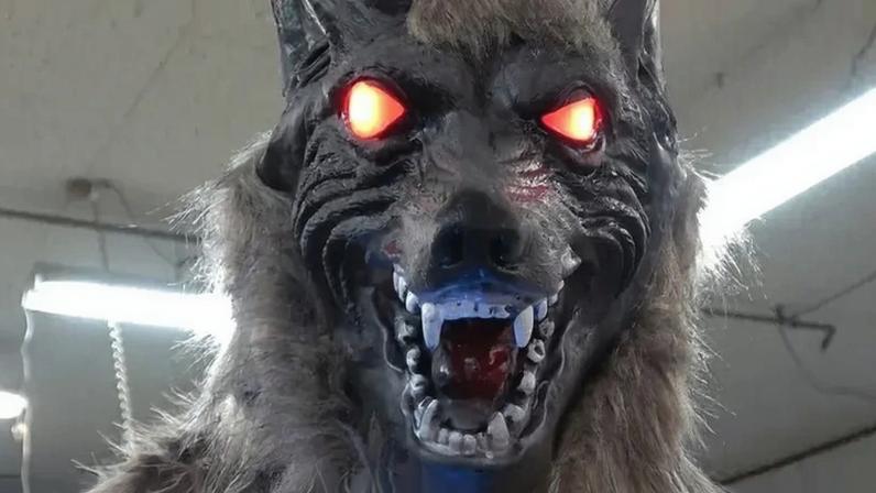 Lobos robôs viram arma improvável contra ataques de ursos no Japão