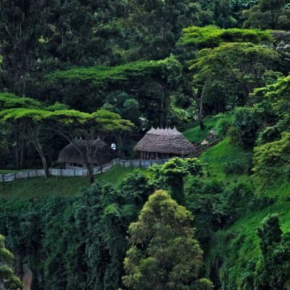 Elefantes retornam ao lado de Mount Elgon, Uganda, após quatro décadas