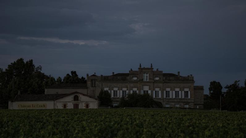 Bordeaux 2025: em busca dos melhores Crus Bourgeois da safra