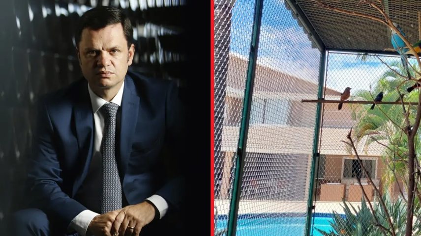 O ex-ministro da Justiça Anderson Torres e a criação de pássaros - (Cristiano Mariz/VEJA)