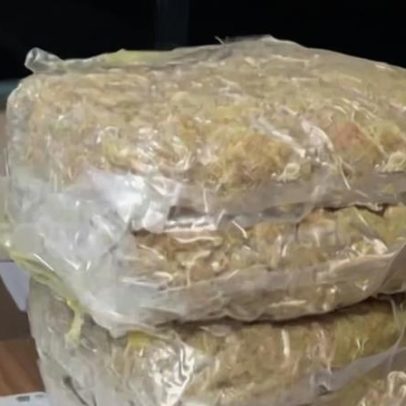 Polícia localiza casa de suspeito de roubo a loja em shopping de Belém
