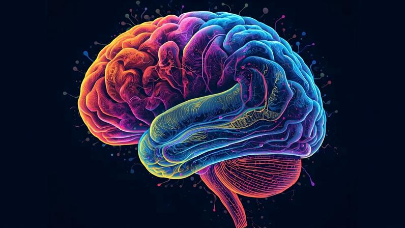 Estudo mostra mudança química em cérebros ansiosos. (Foto: Fala Ciência via Canva)