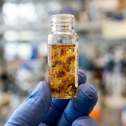 Estudo indica que banhos frios podem acelerar perda de peso, dizem cientistas