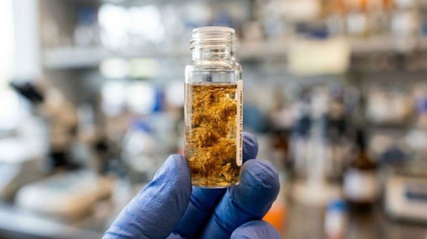 Estudo indica que banhos frios podem acelerar perda de peso, dizem cientistas