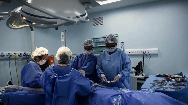 Transplante de órgãos