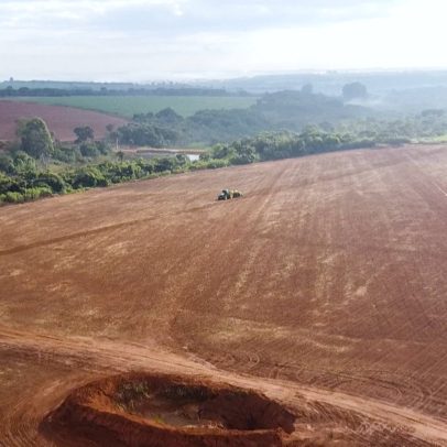 MG produtores reavaliam cultivo de feijão após queda nas vendas