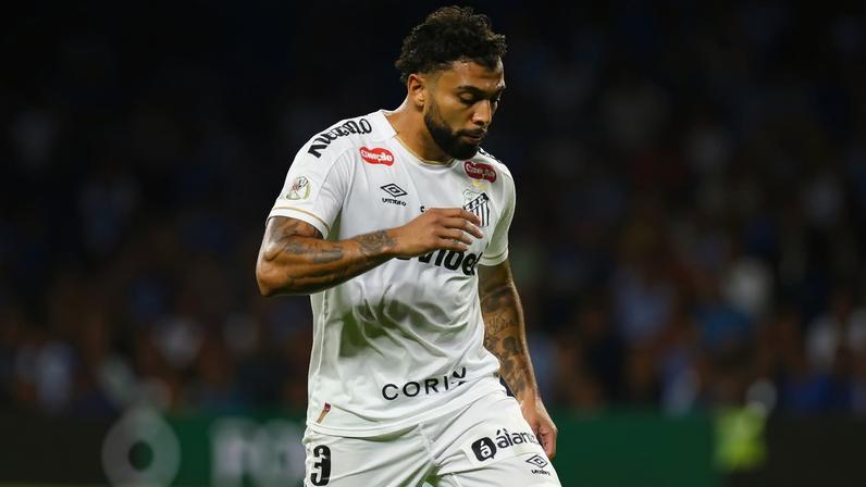 Palmeiras e Santos se enfrentarão no Allianz Parque, em São Paulo