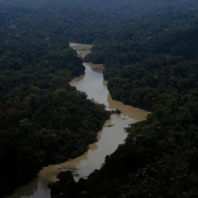 Câmara aprova projeto que reduz 40% de floresta no Pará