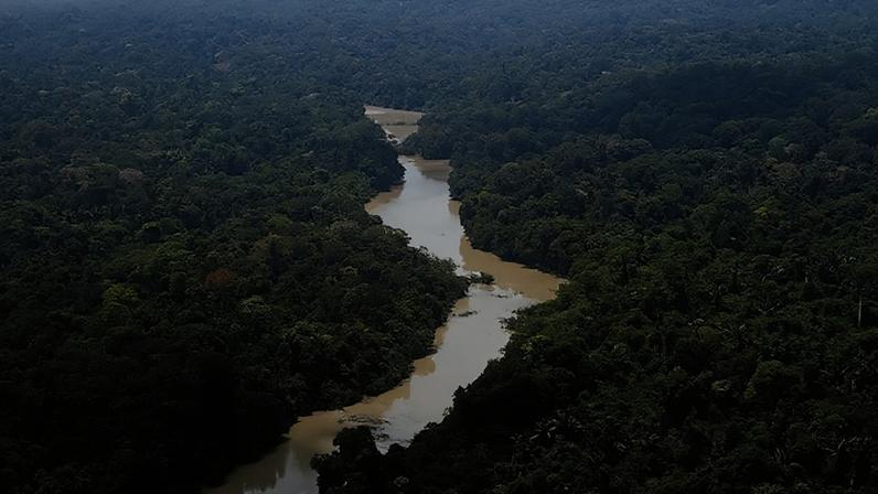 Na imagem, a Floresta Nacional do Jamanxim, no Pará