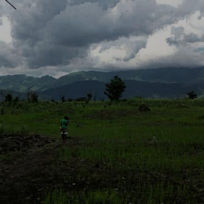 Montanhas Nimba: filme analisa conservação financiada pela mineração